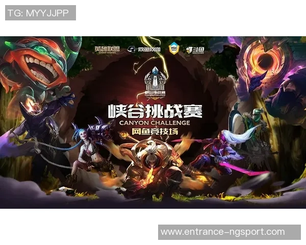 对话杨军：回顾英雄联盟职业生涯的荣耀与挑战